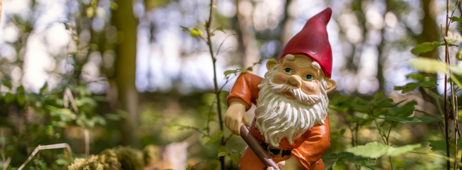 termesantagnese en gnome-trail 005