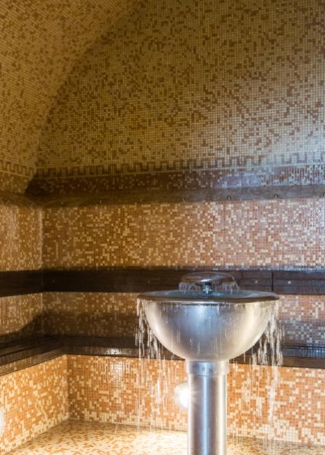 termesantagnese it herbarium-frigidarium 011