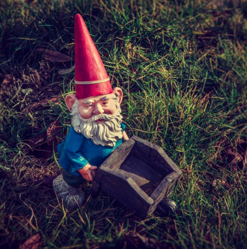 termesantagnese en gnome-trail 004